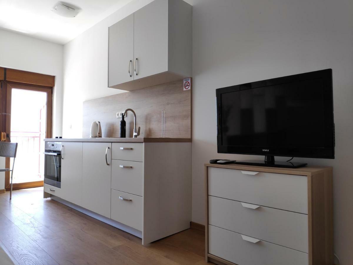 Apartment Anicic *
