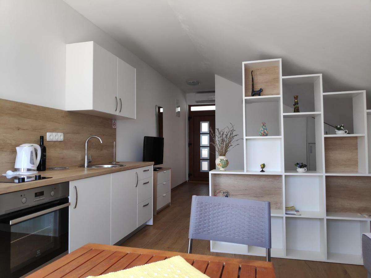 Apartment Anicic *