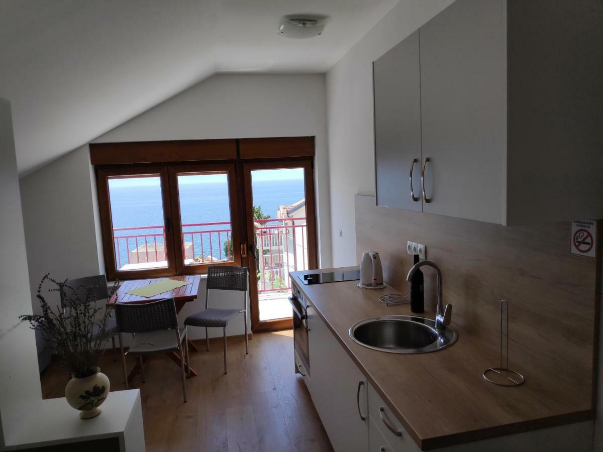 Apartment Anicic *