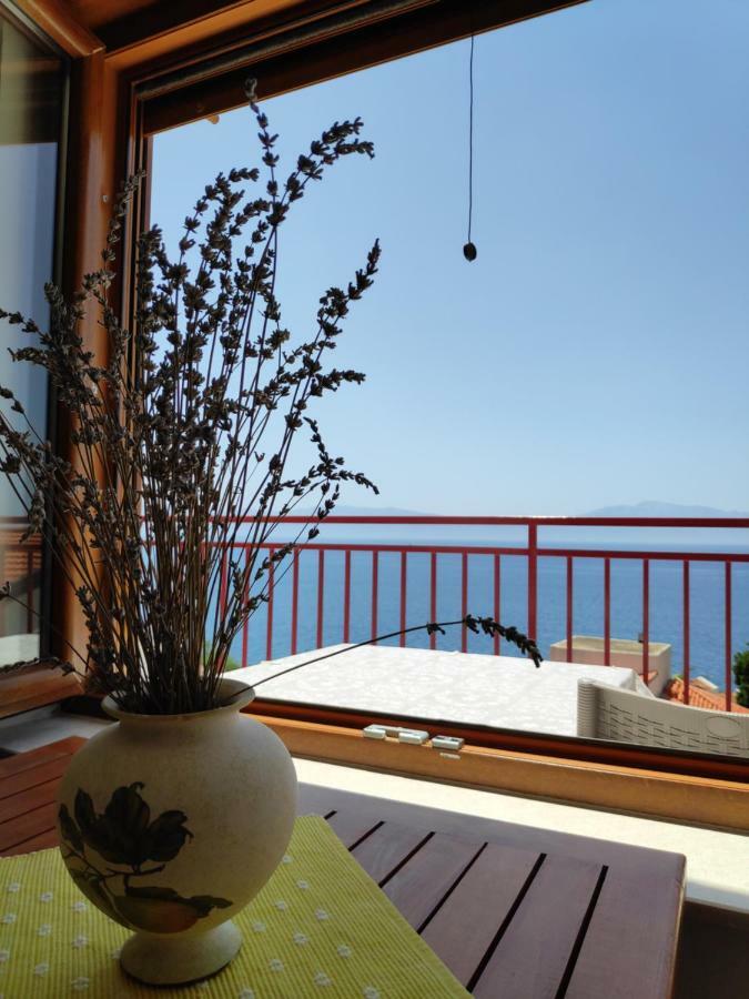 Anicic Apartment Podaca